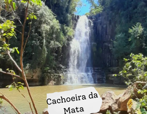 Foto - Descubra SAPOPEMA 