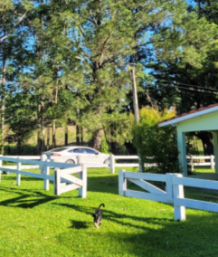 Bairro Lambari / São Luiz II - Santa Maria Ecoturismo